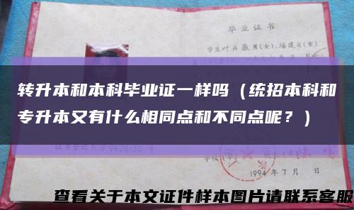 轉升本和本科畢業證一樣嗎（統招本科和專升本又有什么相同點和不同點呢？）縮略圖