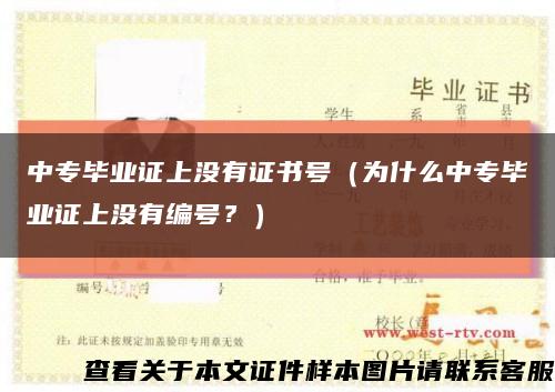 中專畢業證上沒有證書號（為什么中專畢業證上沒有編號？）縮略圖