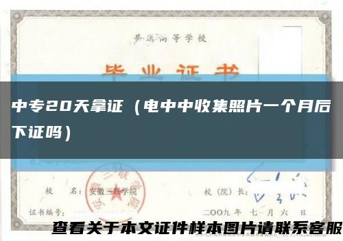 中專20天拿證（電中中收集照片一個月后下證嗎）縮略圖