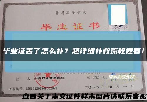 畢業證丟了怎么補？超詳細補救流程速看！縮略圖
