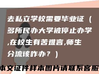 去私立學校需要畢業證（多所民辦大學被停止辦學,在校生有苦難言,師生分流該咋辦？）縮略圖