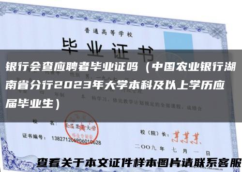 銀行會查應聘者畢業證嗎（中國農業銀行湖南省分行2023年大學本科及以上學歷應屆畢業生）縮略圖