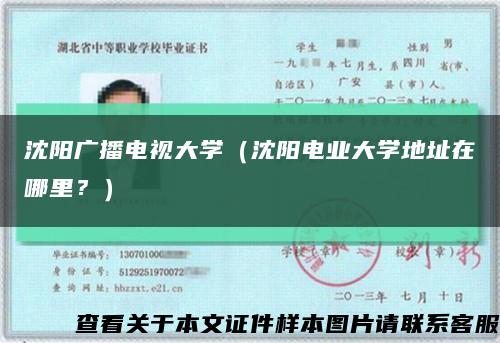 沈陽廣播電視大學（沈陽電業大學地址在哪里？）縮略圖