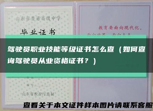 駕駛員職業技能等級證書怎么查（如何查詢駕駛員從業資格證書？）縮略圖