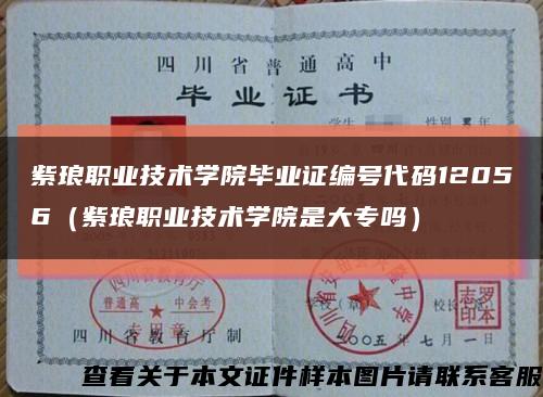 紫瑯職業技術學院畢業證編號代碼12056（紫瑯職業技術學院是大專嗎）縮略圖