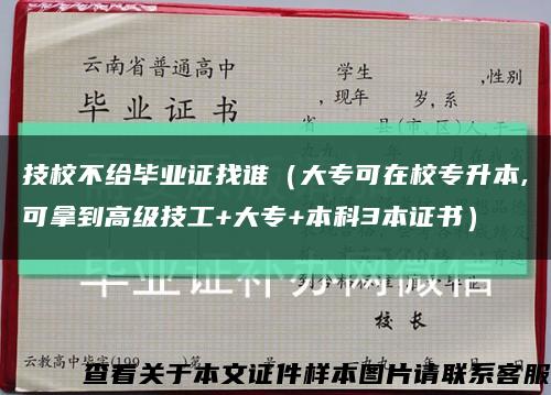 技校不給畢業證找誰（大?？稍谛Ｉ?可拿到高級技工+大專+本科3本證書）縮略圖
