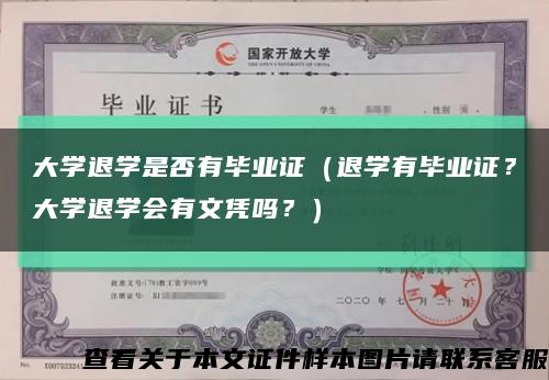 大學退學是否有畢業證（退學有畢業證？大學退學會有文憑嗎？）縮略圖