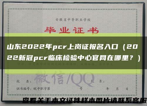 山東2022年pcr上崗證報名入口（2022新冠pcr臨床檢驗中心官網在哪里？）縮略圖
