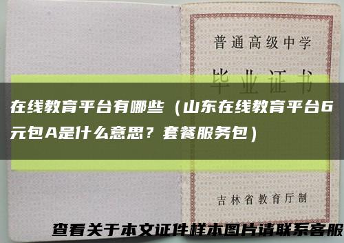 在線教育平臺有哪些（山東在線教育平臺6元包A是什么意思？套餐服務包）縮略圖