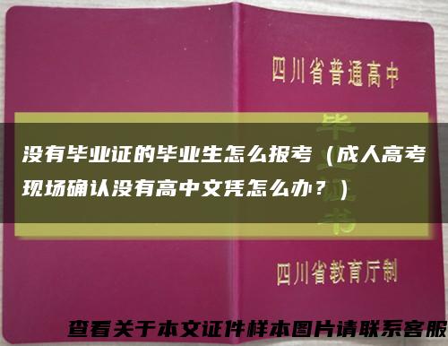 沒有畢業證的畢業生怎么報考（成人高考現場確認沒有高中文憑怎么辦？）縮略圖