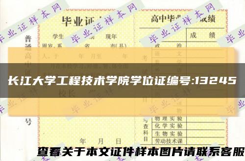 長江大學工程技術學院學位證編號:13245縮略圖