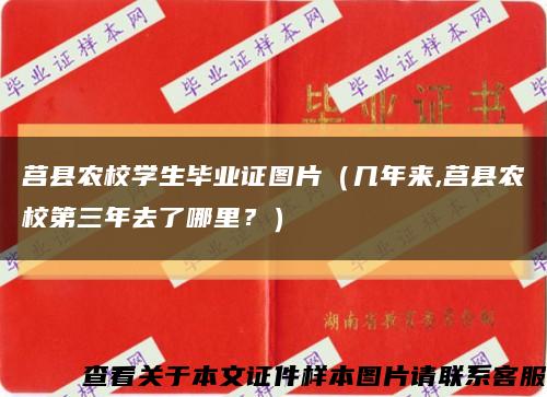 莒縣農校學生畢業證圖片（幾年來,莒縣農校第三年去了哪里？）縮略圖