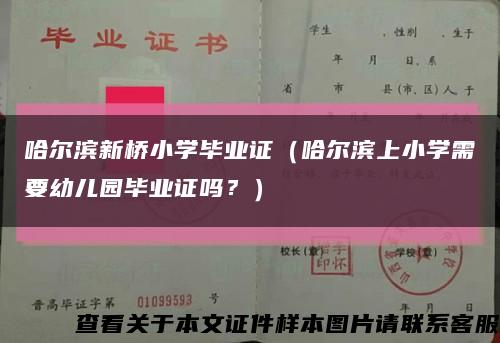 哈爾濱新橋小學畢業證（哈爾濱上小學需要幼兒園畢業證嗎？）縮略圖