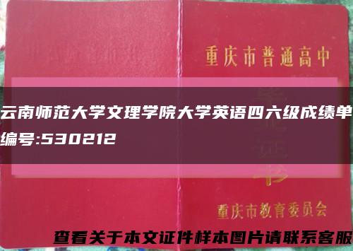 云南師范大學文理學院大學英語四六級成績單編號:530212縮略圖