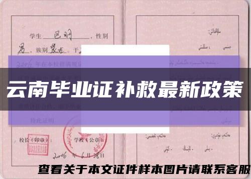云南畢業證補救最新政策縮略圖