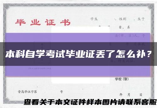 本科自學考試畢業證丟了怎么補？縮略圖