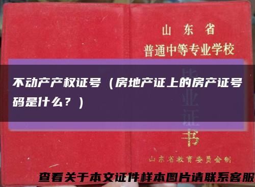 不動產產權證號（房地產證上的房產證號碼是什么？）縮略圖