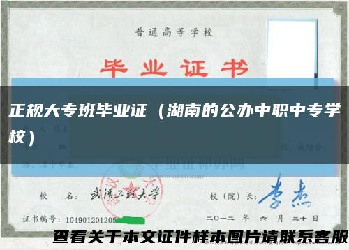 正規大專班畢業證（湖南的公辦中職中專學校）縮略圖