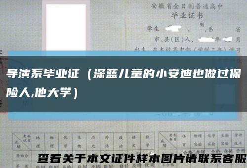 導演系畢業證（深藍兒童的小安迪也做過保險人,他大學）縮略圖