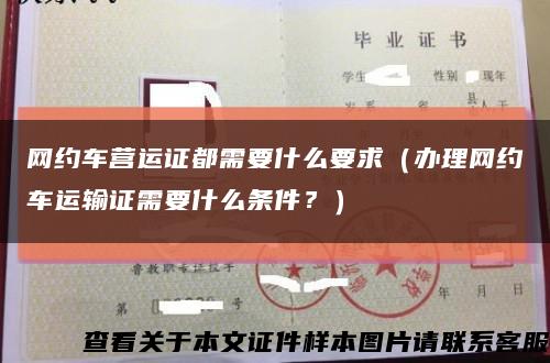 網約車營運證都需要什么要求（辦理網約車運輸證需要什么條件？）縮略圖