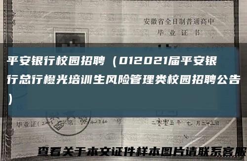 平安銀行校園招聘（012021屆平安銀行總行橙光培訓生風險管理類校園招聘公告）縮略圖