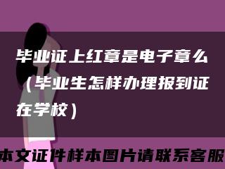 畢業證上紅章是電子章么（畢業生怎樣辦理報到證在學校）縮略圖