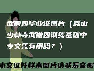武僧團畢業證圖片（嵩山少林寺武僧團訓練基礎中專文憑有用嗎？）縮略圖
