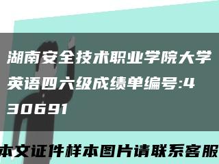 湖南安全技術職業學院大學英語四六級成績單編號:430691縮略圖