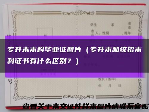 專升本本科畢業證圖片（專升本和統招本科證書有什么區別？）縮略圖