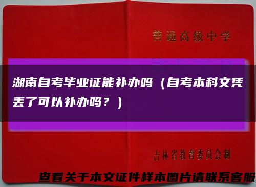 湖南自考畢業證能補辦嗎（自考本科文憑丟了可以補辦嗎？）縮略圖