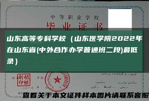 山東高等?？茖W校（山東醫學院2022年在山東省(中外合作辦學普通班二段)最低錄）縮略圖