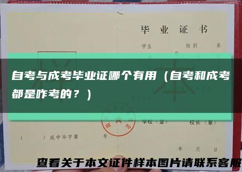 自考與成考畢業證哪個有用（自考和成考都是咋考的？）縮略圖