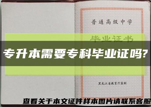 專升本需要?？飘厴I證嗎?縮略圖
