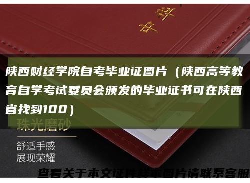 陜西財經學院自考畢業證圖片（陜西高等教育自學考試委員會頒發的畢業證書可在陜西省找到100）縮略圖