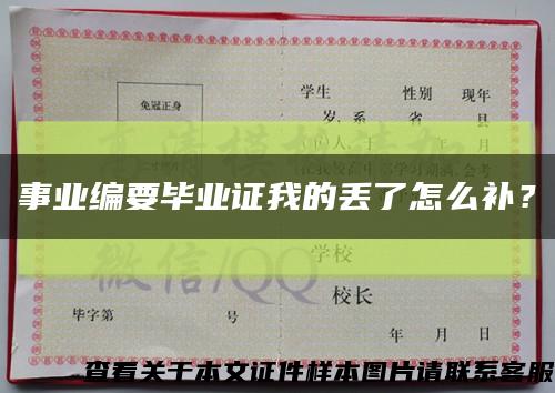 事業編要畢業證我的丟了怎么補？縮略圖