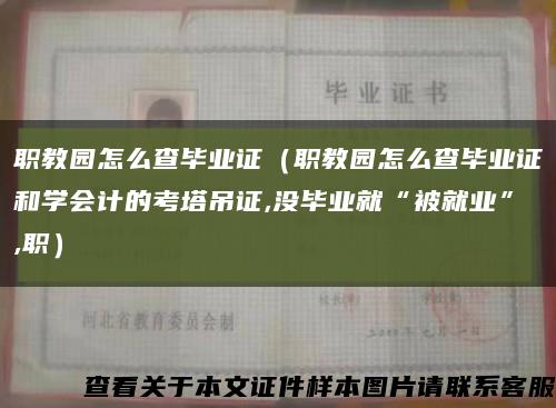 職教園怎么查畢業證（職教園怎么查畢業證和學會計的考塔吊證,沒畢業就“被就業”,職）縮略圖