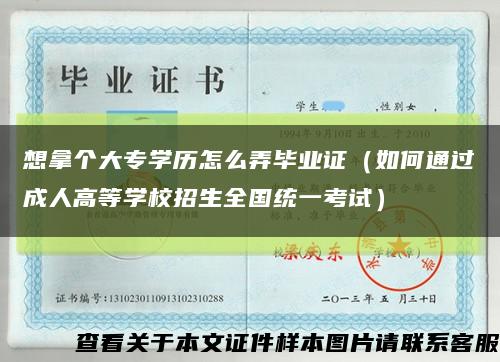 想拿個大專學歷怎么弄畢業證（如何通過成人高等學校招生全國統一考試）縮略圖