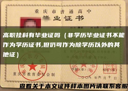 高職掛科有畢業證嗎（非學歷畢業證書不能作為學歷證書,但仍可作為除學歷以外的其他證）縮略圖
