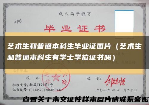藝術生和普通本科生畢業證圖片（藝術生和普通本科生有學士學位證書嗎）縮略圖