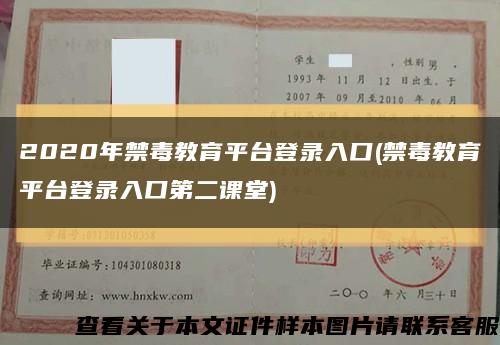 2020年禁毒教育平臺登錄入口(禁毒教育平臺登錄入口第二課堂)縮略圖