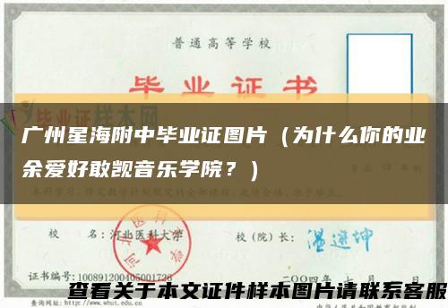 廣州星海附中畢業證圖片（為什么你的業余愛好敢覬音樂學院？）縮略圖