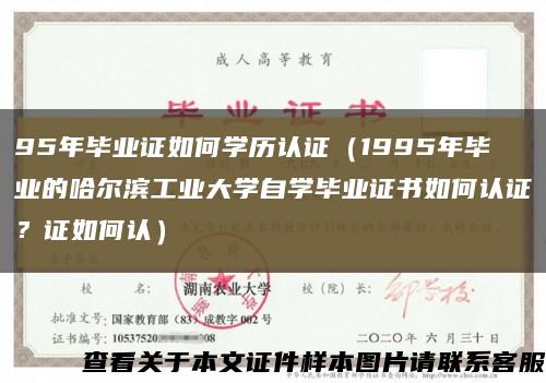 95年畢業證如何學歷認證（1995年畢業的哈爾濱工業大學自學畢業證書如何認證？證如何認）縮略圖