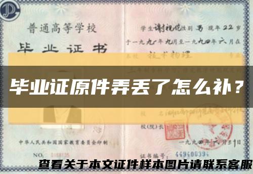 畢業證原件弄丟了怎么補？縮略圖