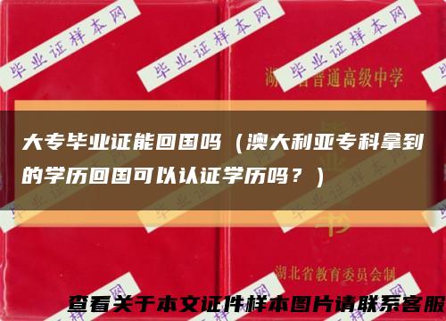 大專畢業證能回國嗎（澳大利亞?？颇玫降膶W歷回國可以認證學歷嗎？）縮略圖