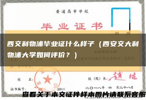 西交利物浦畢業證什么樣子（西安交大利物浦大學如何評價？）縮略圖