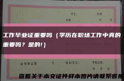 工作畢業證重要嗎（學歷在職場工作中真的重要嗎？是的!）縮略圖