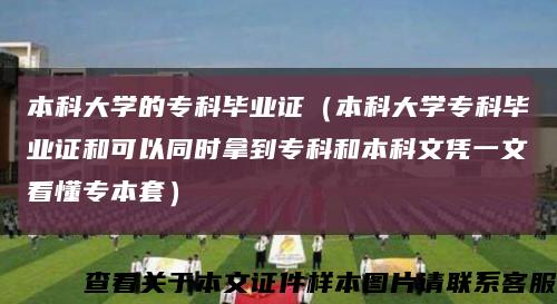 本科大學的?？飘厴I證（本科大學?？飘厴I證和可以同時拿到?？坪捅究莆膽{一文看懂專本套）縮略圖