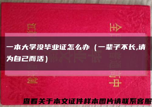 一本大學沒畢業證怎么辦（一輩子不長,請為自己而活）縮略圖