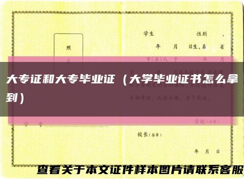 大專證和大專畢業證（大學畢業證書怎么拿到）縮略圖