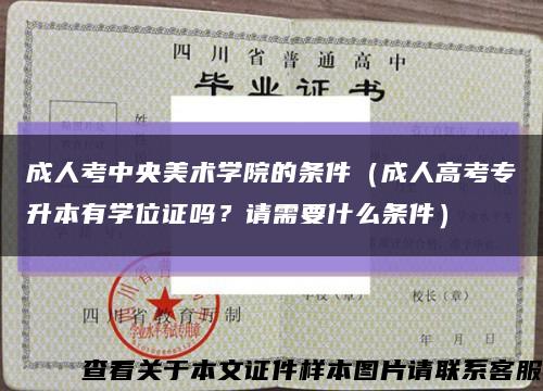成人考中央美術學院的條件（成人高考專升本有學位證嗎？請需要什么條件）縮略圖